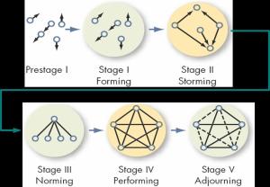 five_stage_development_model